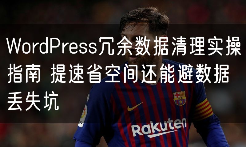 WordPress冗余数据清理实操指南 提速省空间还能避数据丢失坑