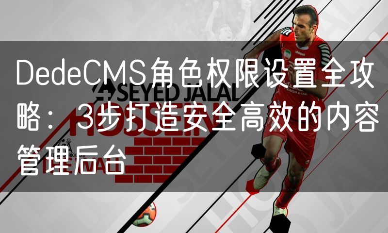 DedeCMS角色权限设置全攻略：3步打造安全高效的内容管理后台(14)