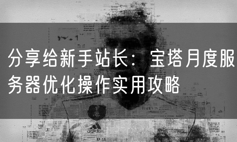 分享给新手站长:宝塔月度服务器优化操作实用攻略