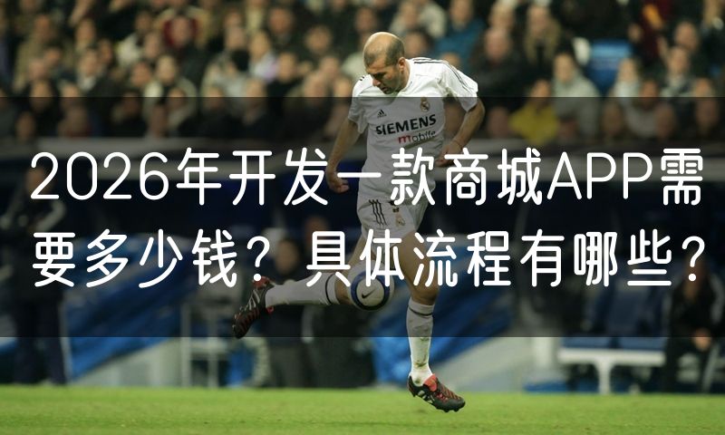 2026年开发一款商城APP需要多少钱？具体流程有哪些？