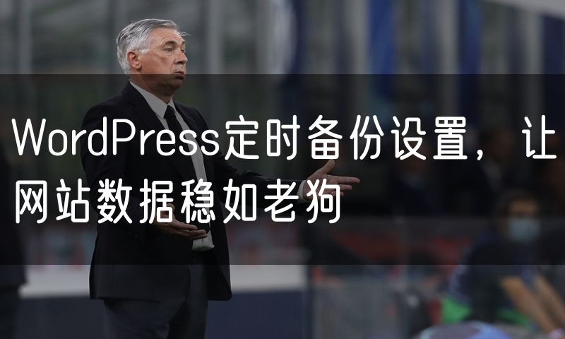 WordPress定时备份设置，让网站数据稳如老狗