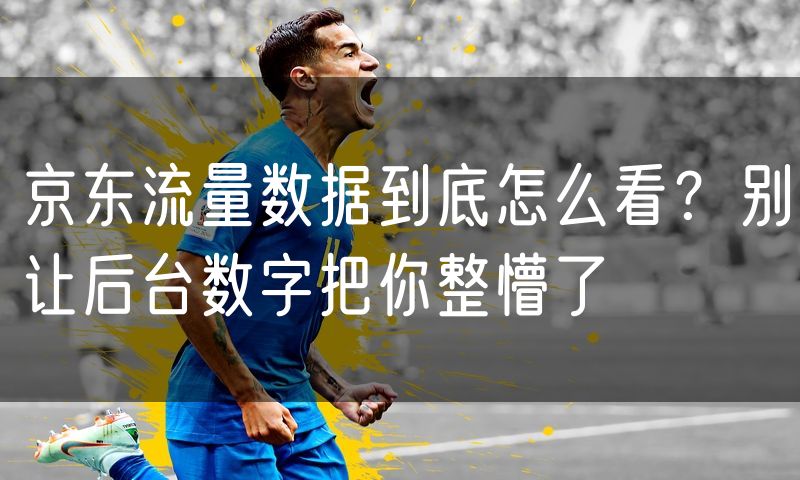 京东流量数据到底怎么看？别让后台数字把你整懵了