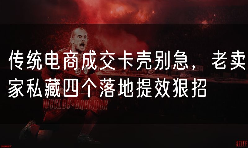 传统电商成交卡壳别急，老卖家私藏四个落地提效狠招(4)