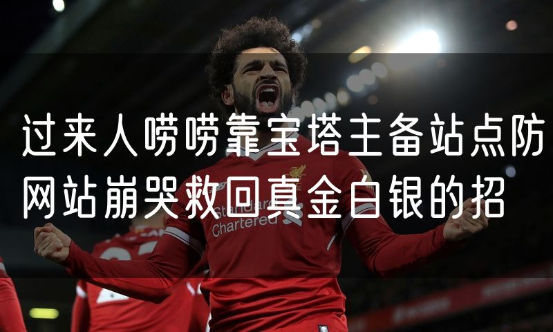 过来人唠唠靠宝塔主备站点防网站崩哭救回真金白银的招