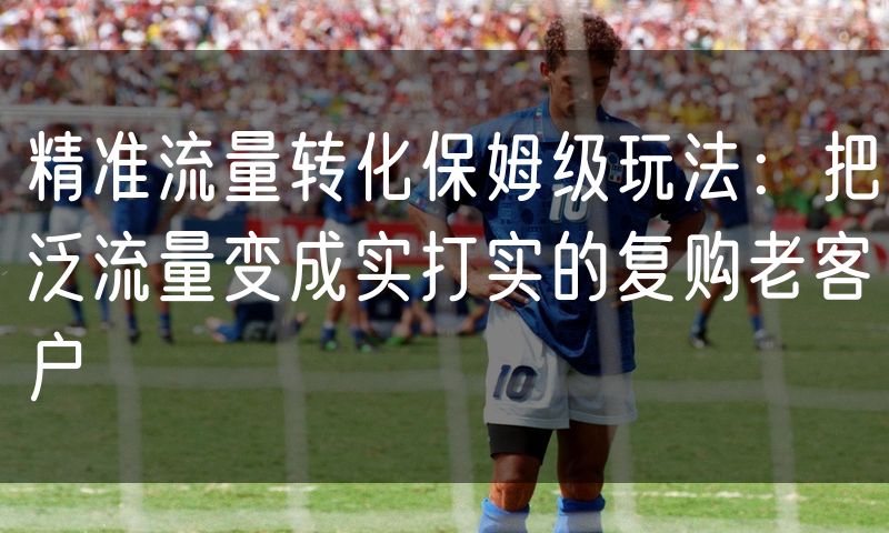 精准流量转化保姆级玩法：把泛流量变成实打实的复购老客户