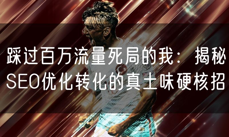 踩过百万流量死局的我：揭秘SEO优化转化的真土味硬核招