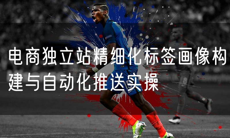 电商独立站精细化标签画像构建与自动化推送实操