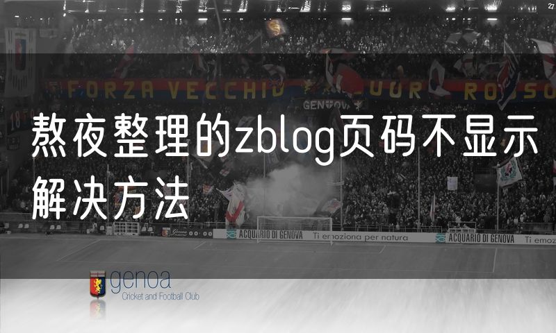 熬夜整理的zblog页码不显示解决方法
