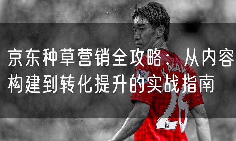 京东种草营销全攻略:从内容构建到转化提升的实战指南