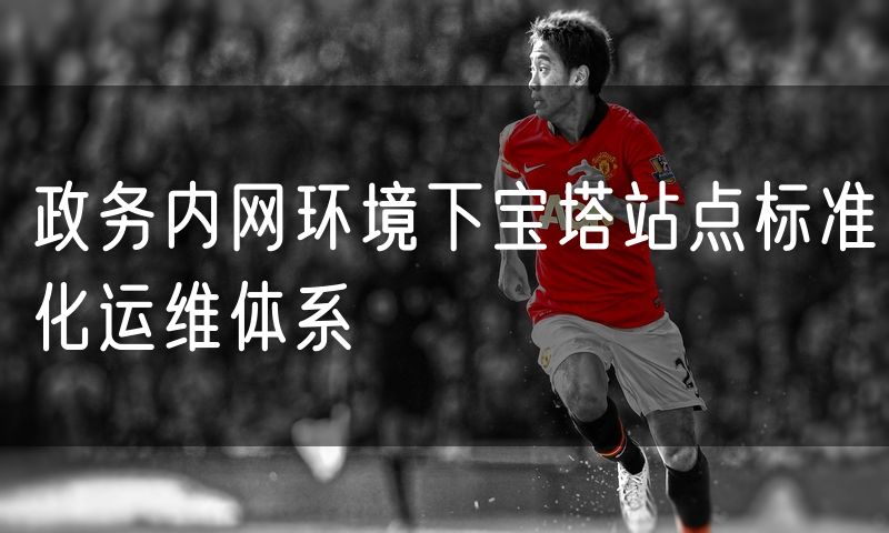 政务内网环境下宝塔站点标准化运维体系
