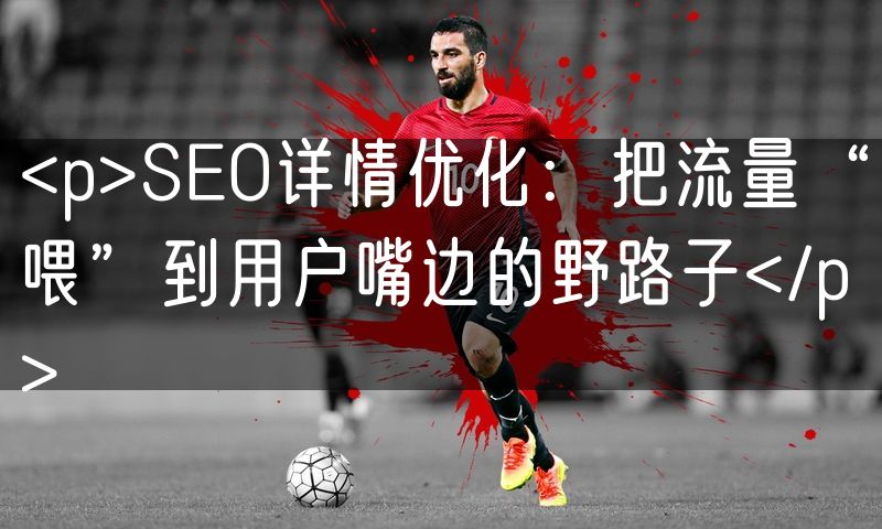 <p>SEO详情优化:把流量“喂”到用户嘴边的野路子</p>(16)