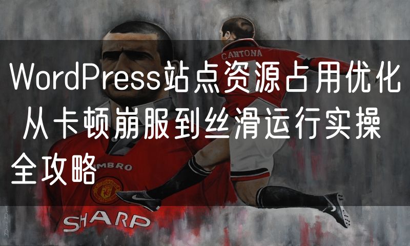WordPress站点资源占用优化 从卡顿崩服到丝滑运行实操全攻略