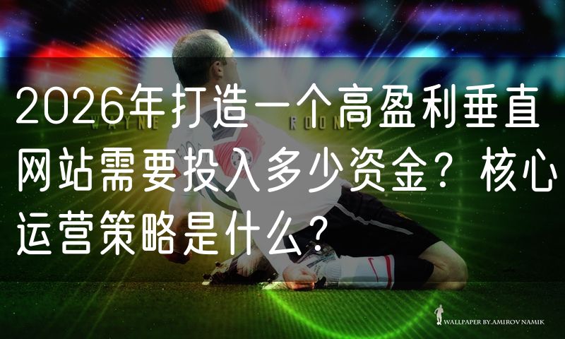 2026年打造一个高盈利垂直网站需要投入多少资金？核心运营策略是什么？