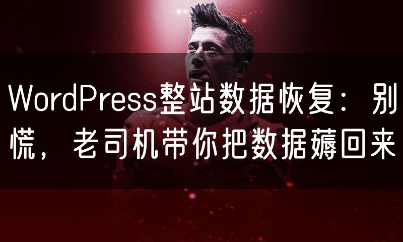 WordPress整站数据恢复：别慌，老司机带你把数据薅回来