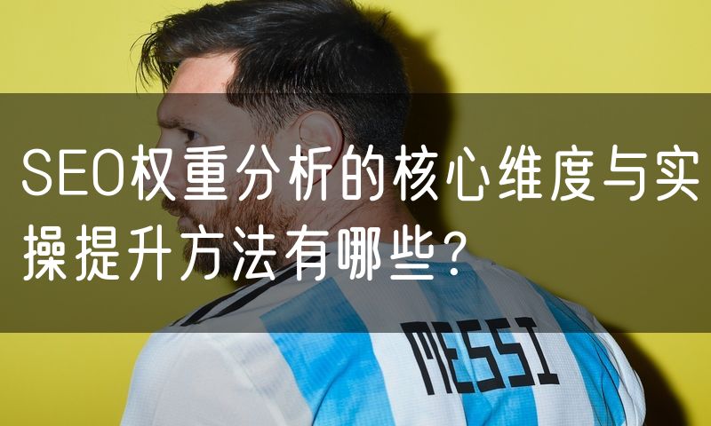 SEO权重分析的核心维度与实操提升方法有哪些?(8)