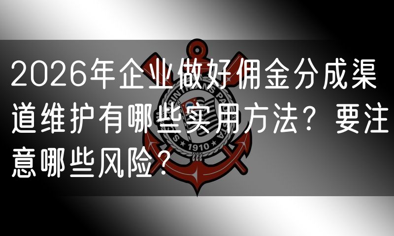 2026年企业做好佣金分成渠道维护有哪些实用方法?要注意哪些风险?(6)