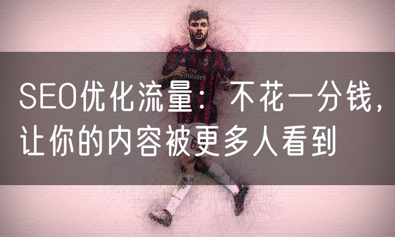 SEO优化流量：不花一分钱，让你的内容被更多人看到