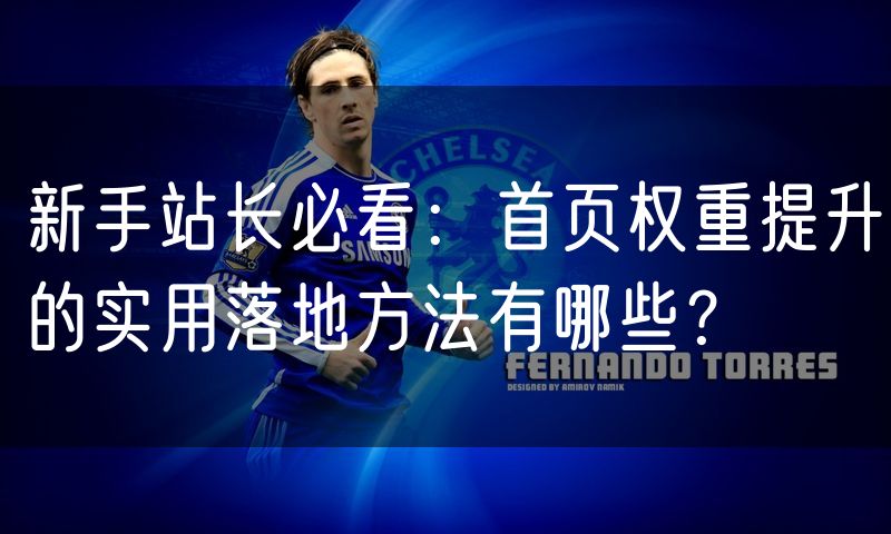 新手站长必看:首页权重提升的实用落地方法有哪些?(0)