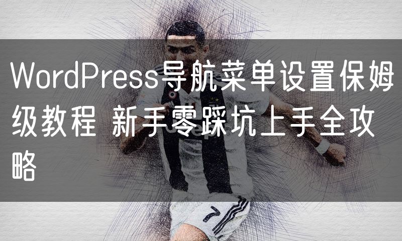 WordPress导航菜单设置保姆级教程 新手零踩坑上手全攻略