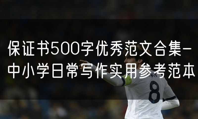 保证书500字优秀范文合集-中小学日常写作实用参考范本