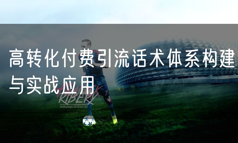 高转化付费引流话术体系构建与实战应用