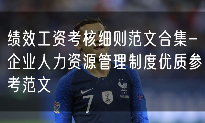 绩效工资考核细则范文合集-企业人力资源管理制度优质参考范文
