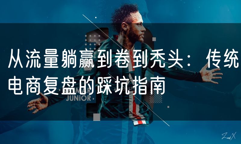 从流量躺赢到卷到秃头：传统电商复盘的踩坑指南(0)