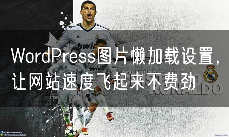 WordPress图片懒加载设置,让网站速度飞起来不费劲