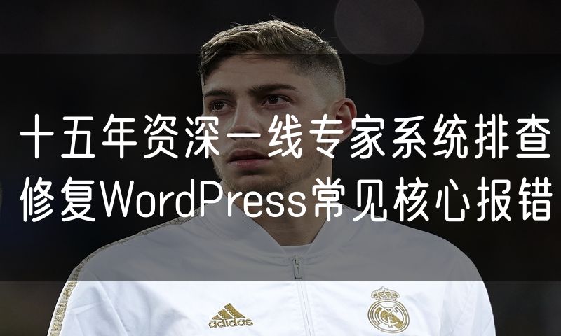 十五年资深一线专家系统排查修复WordPress常见核心报错