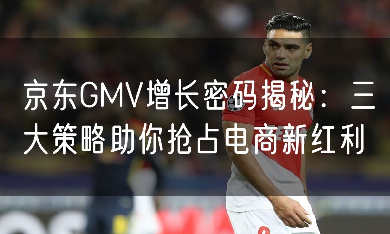 京东GMV增长密码揭秘:三大策略助你抢占电商新红利(0)