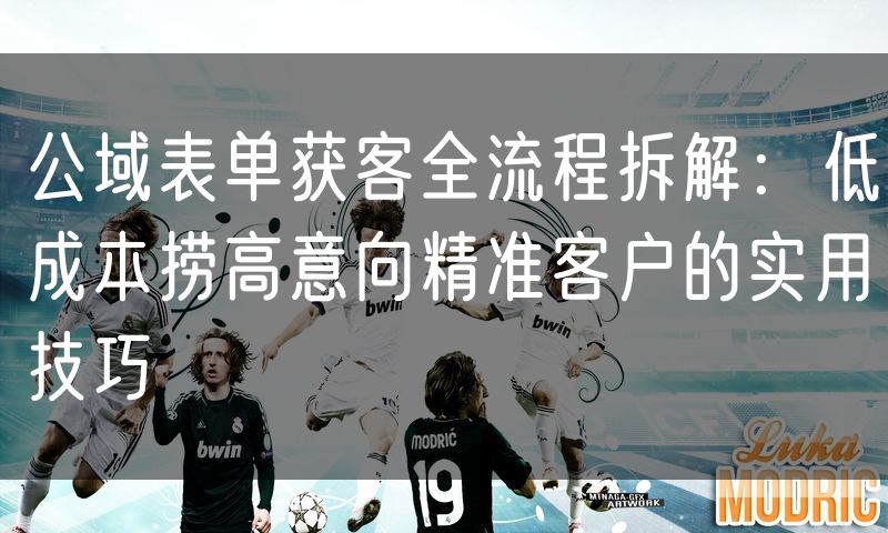 公域表单获客全流程拆解:低成本捞高意向精准客户的实用技巧