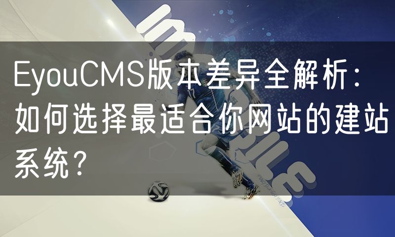 EyouCMS版本差异全解析：如何选择最适合你网站的建站系统？(4)