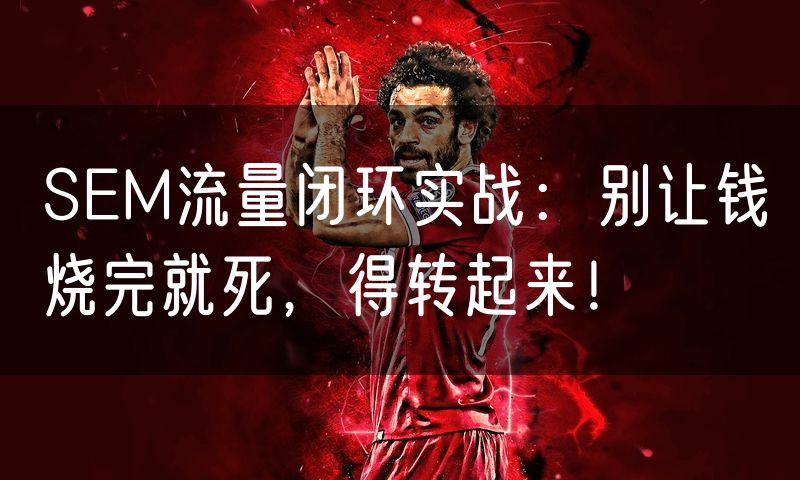 SEM流量闭环实战：别让钱烧完就死，得转起来！