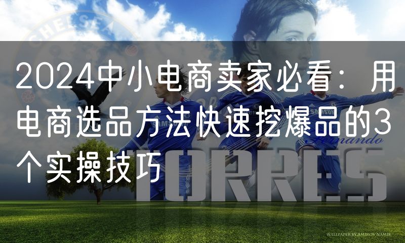 2024中小电商卖家必看:用电商选品方法快速挖爆品的3个实操技巧