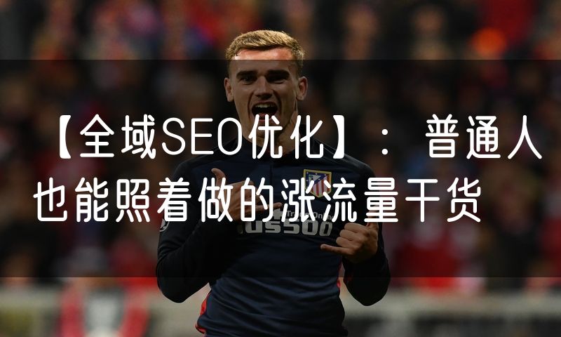 【全域SEO优化】:普通人也能照着做的涨流量干货(6)