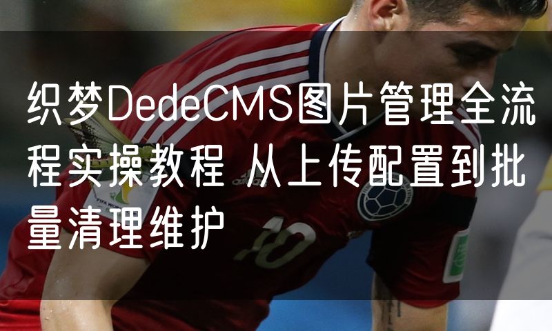 织梦DedeCMS图片管理全流程实操教程 从上传配置到批量清理维护(5)