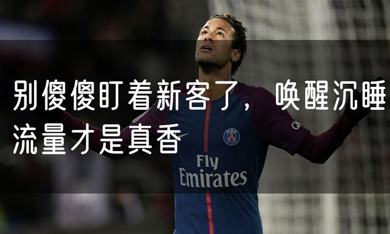 别傻傻盯着新客了,唤醒沉睡流量才是真香(18)