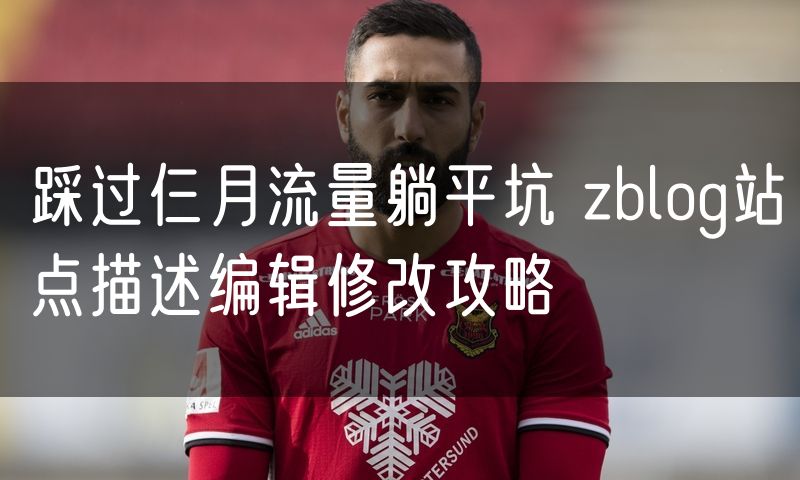 踩过仨月流量躺平坑 zblog站点描述编辑修改攻略