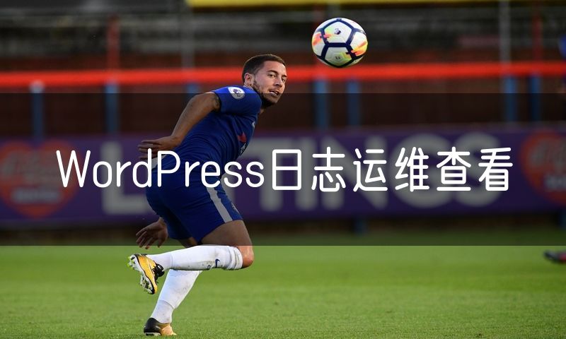 WordPress日志运维查看