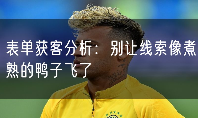 表单获客分析：别让线索像煮熟的鸭子飞了(16)