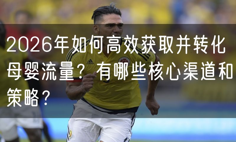 2026年如何高效获取并转化母婴流量?有哪些核心渠道和策略?