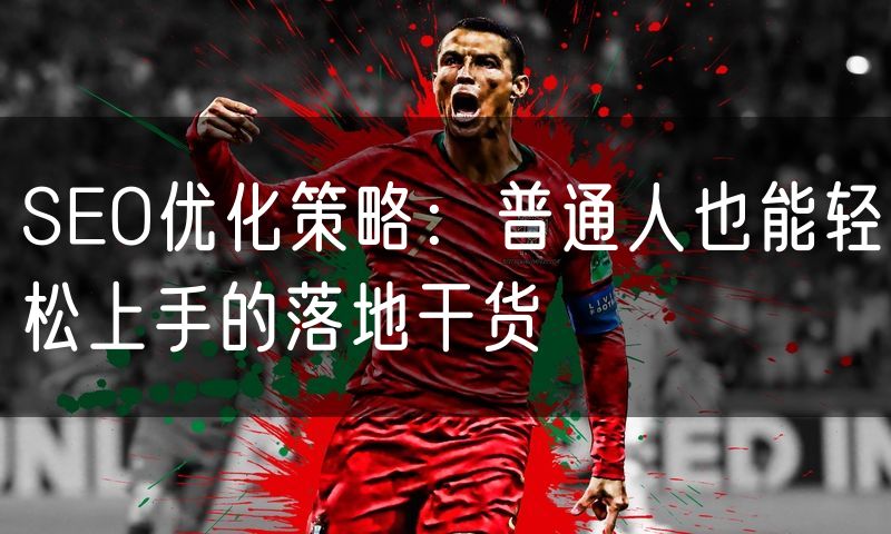 SEO优化策略:普通人也能轻松上手的落地干货(0)