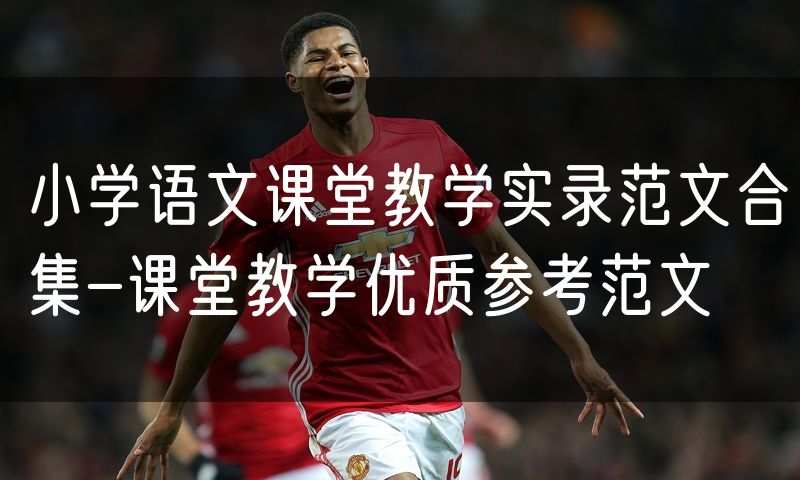 小学语文课堂教学实录范文合集-课堂教学优质参考范文