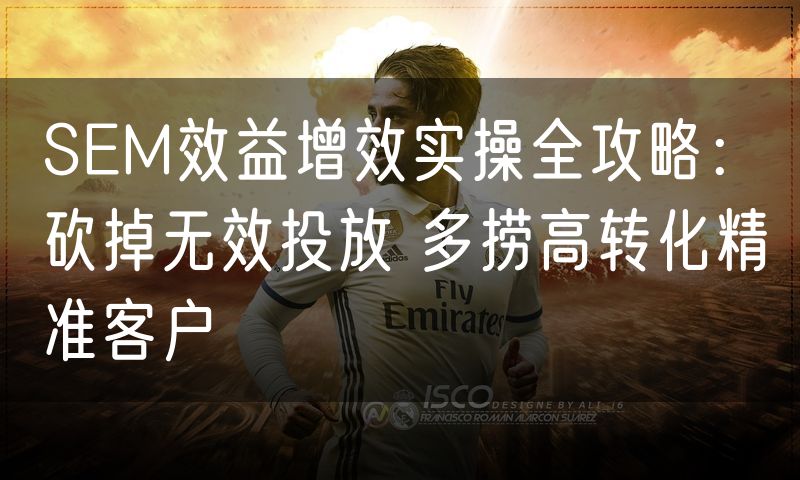 SEM效益增效实操全攻略：砍掉无效投放 多捞高转化精准客户(0)