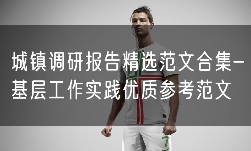 城镇调研报告精选范文合集-基层工作实践优质参考范文