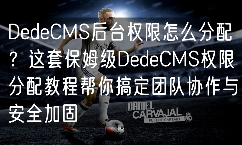 DedeCMS后台权限怎么分配？这套保姆级DedeCMS权限分配教程帮你搞定团队协作与安全加固(4)