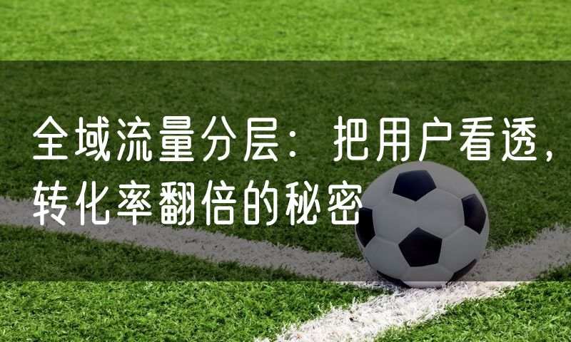 全域流量分层:把用户看透,转化率翻倍的秘密