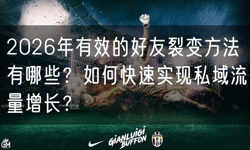 2026年有效的好友裂变方法有哪些？如何快速实现私域流量增长？