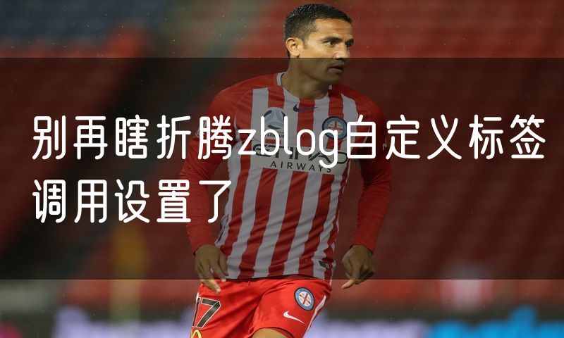 别再瞎折腾zblog自定义标签调用设置了