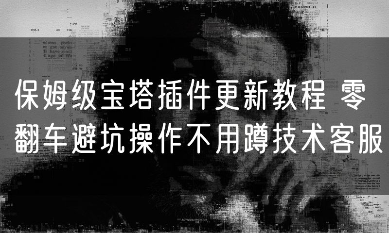 保姆级宝塔插件更新教程 零翻车避坑操作不用蹲技术客服
